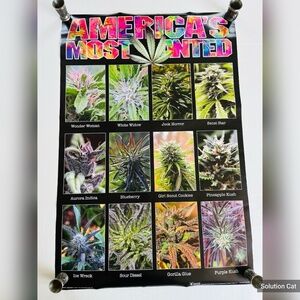Americas Most Wanted Cannabis Large Wall Poster College‎ Collection 24x36 inch